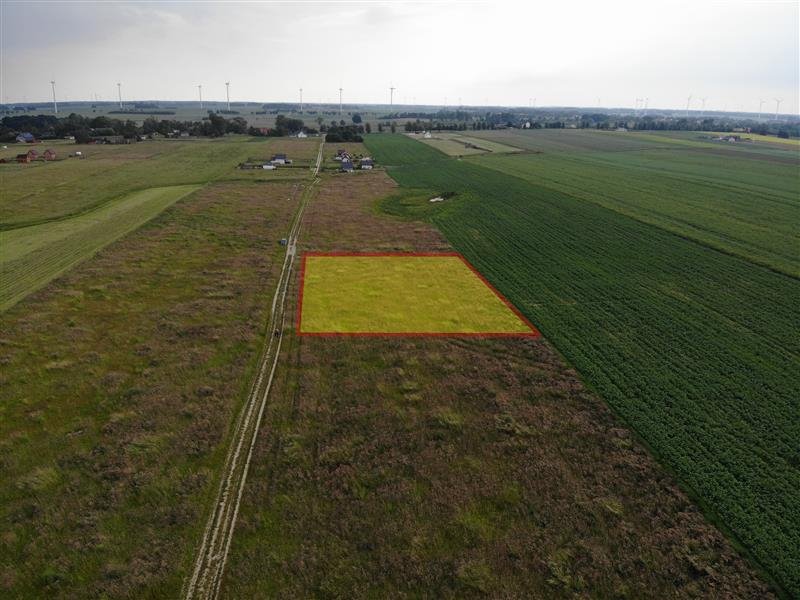 Działka inna na sprzedaż Śmiechów, Śmiechów  3 000m2 Foto 6