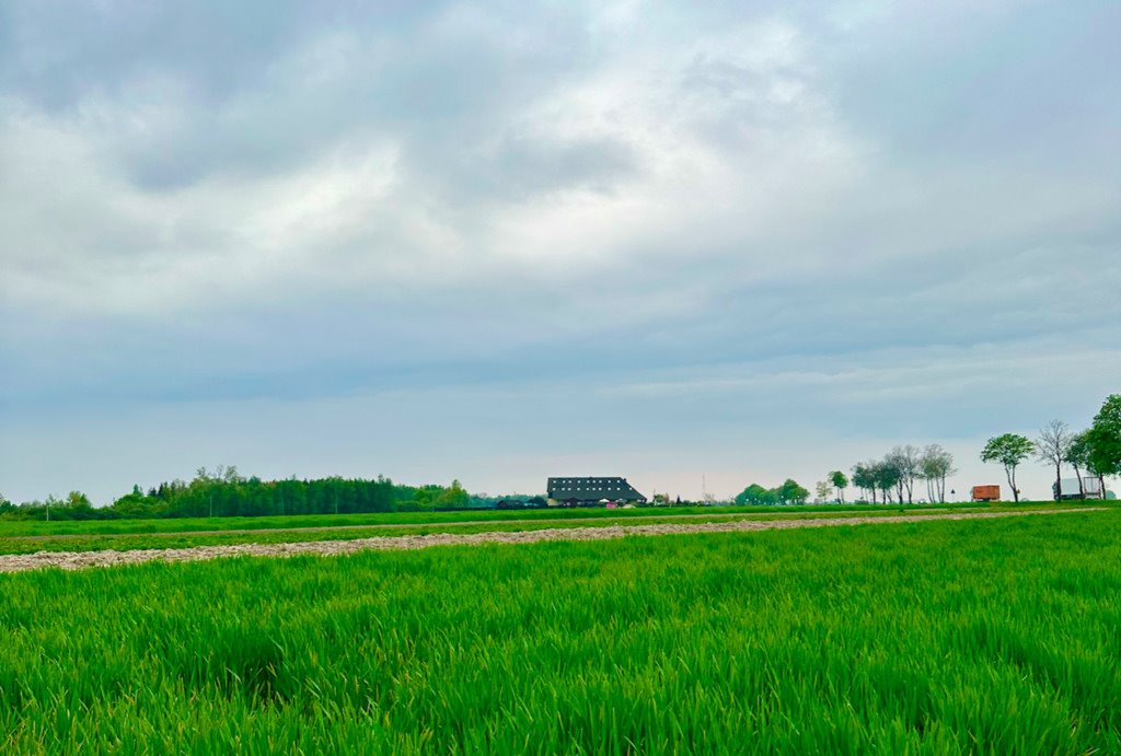 Działka budowlana na sprzedaż Wyszogród  11 748m2 Foto 4