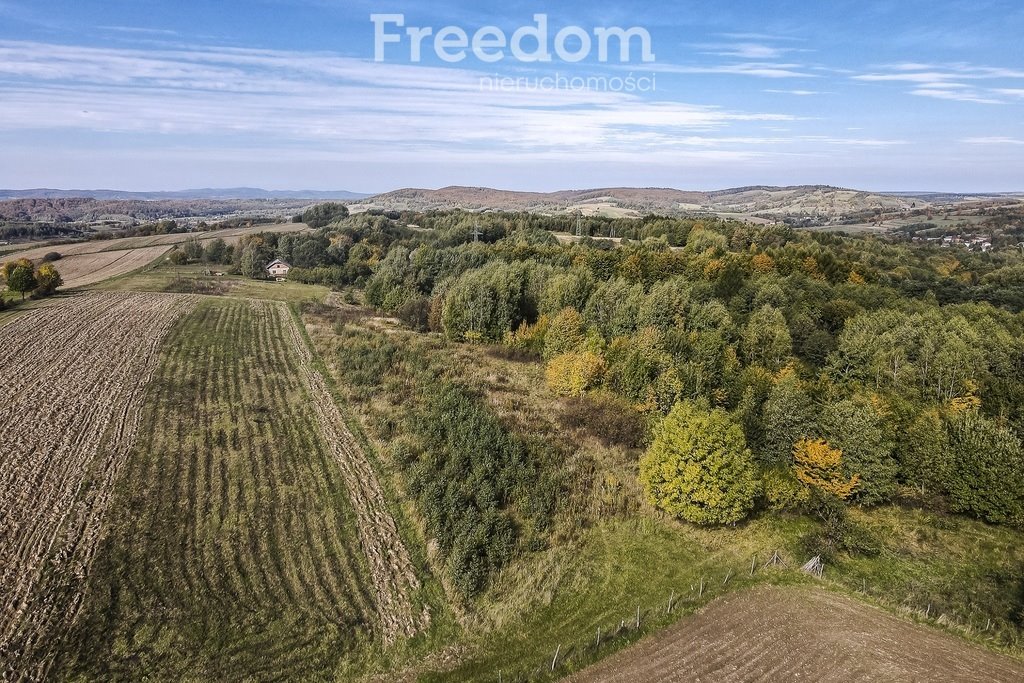 Działka rolna na sprzedaż Grabówka  4 400m2 Foto 14