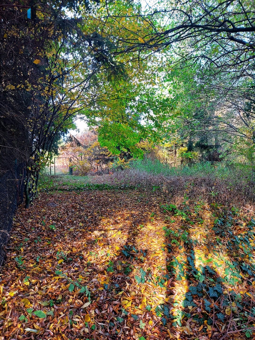 Działka rekreacyjna na sprzedaż Wiatrowo  200m2 Foto 8