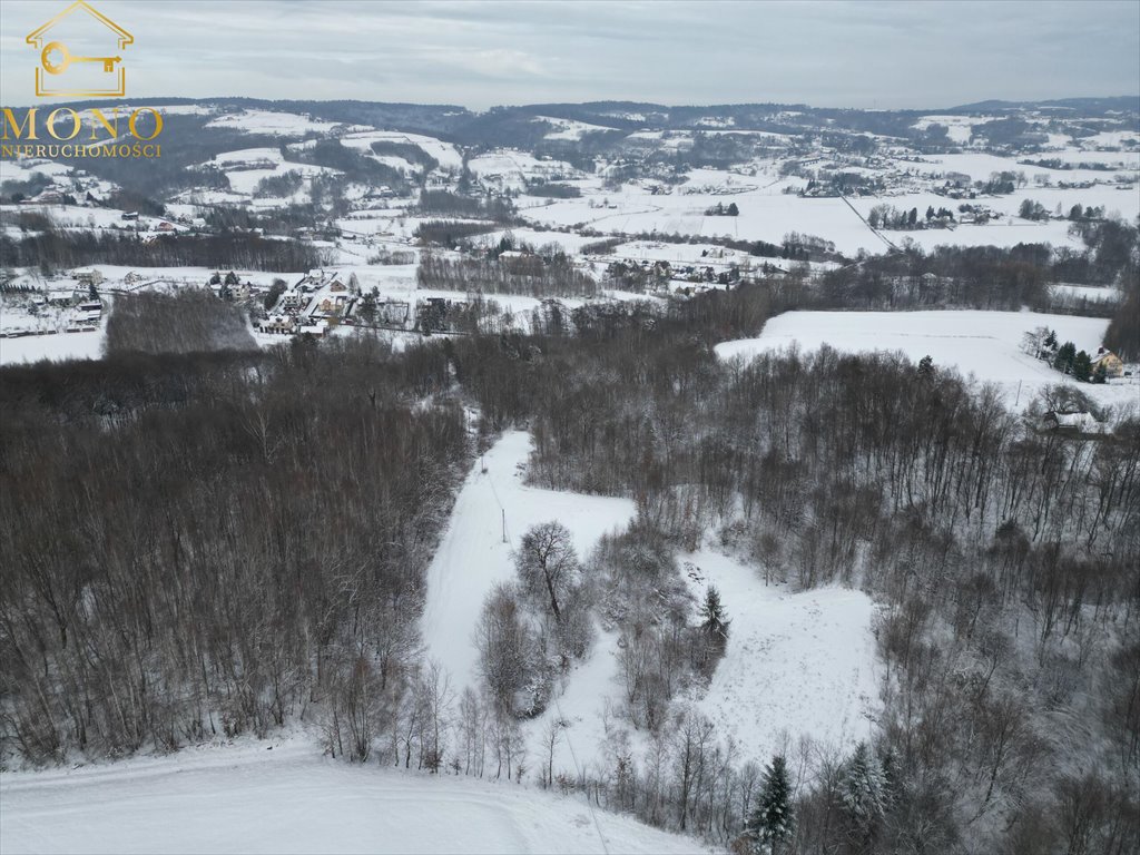 Działka inna na sprzedaż Łowczów  27 000m2 Foto 5