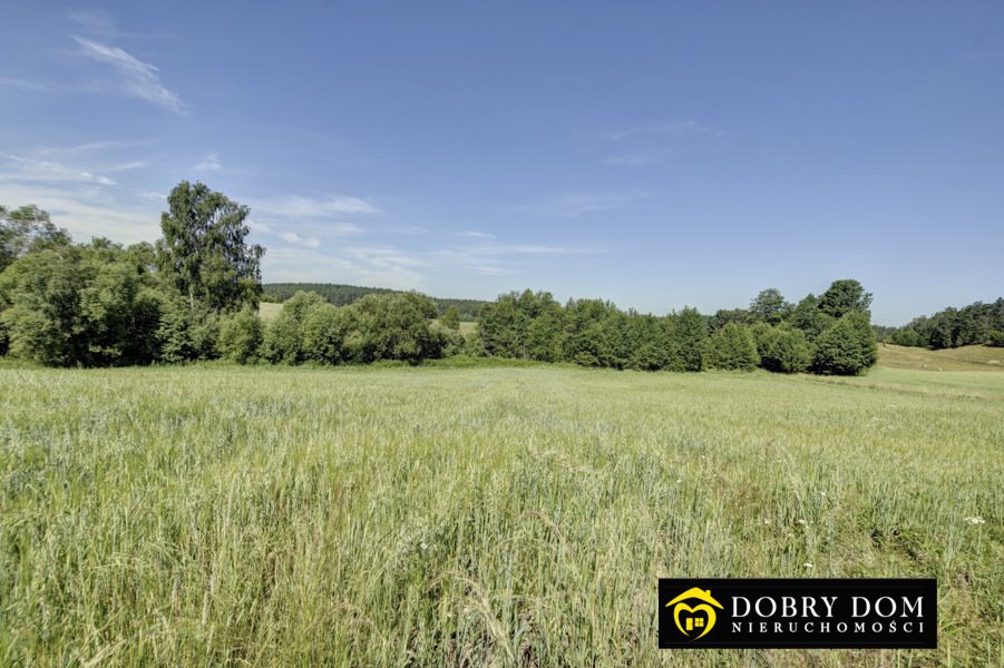 Działka rolna na sprzedaż Jałowo  30 000m2 Foto 15