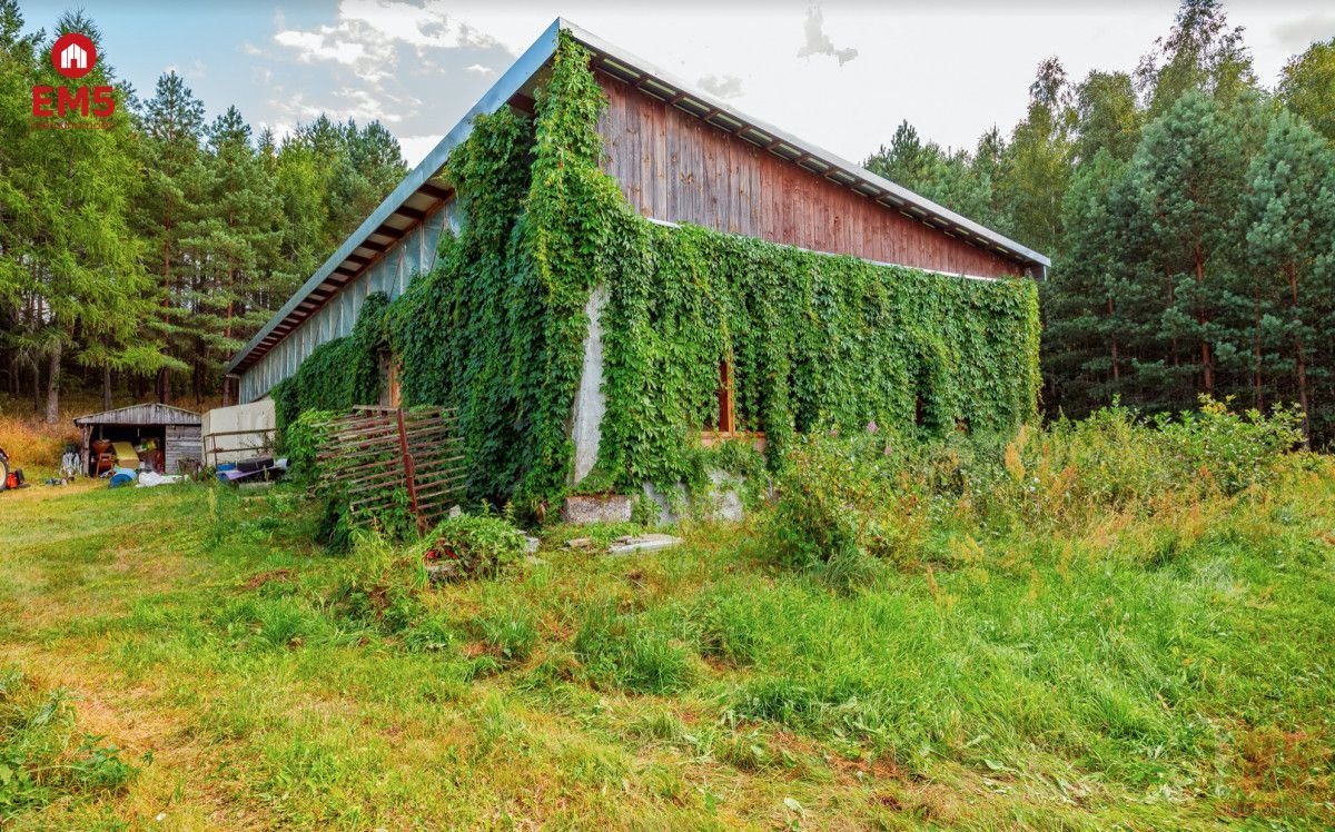 Dom na sprzedaż Plebanowo  83 800m2 Foto 16