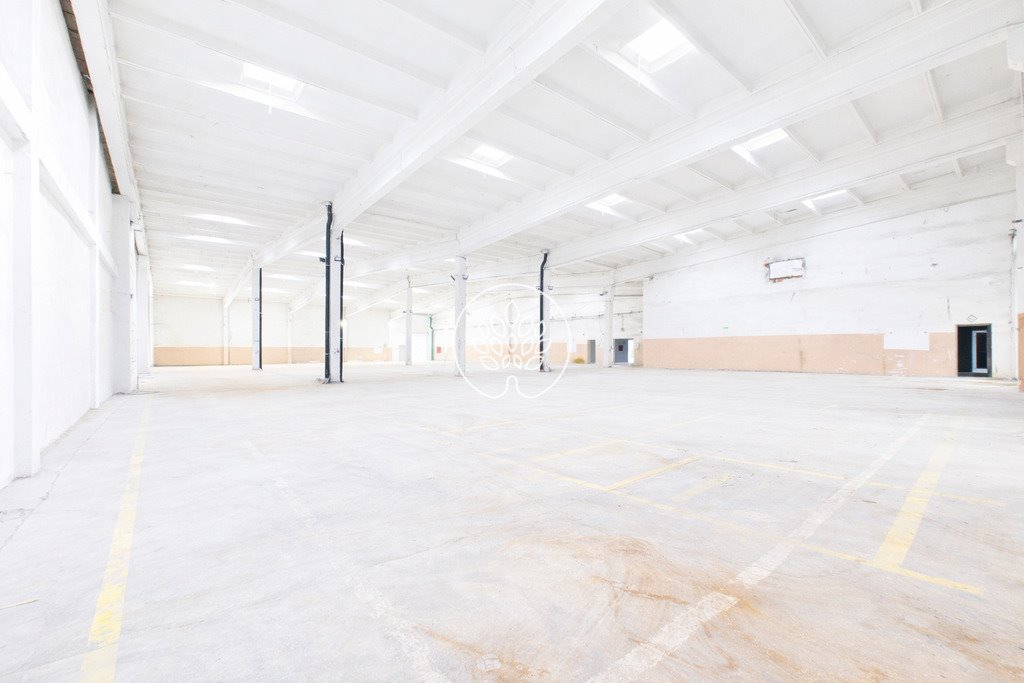 Magazyn 3 338 m² z wysoką nośnością i infrastrukturą Toruń, Rubinkowo  3 339m2 Foto 1