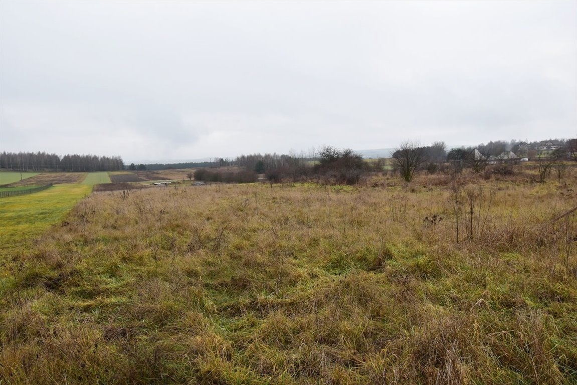 Na sprzedaż działka 1322 m² z mediami i dobrym dojazdem Chęciny, Tokarnia  1 322m2 Foto 1
