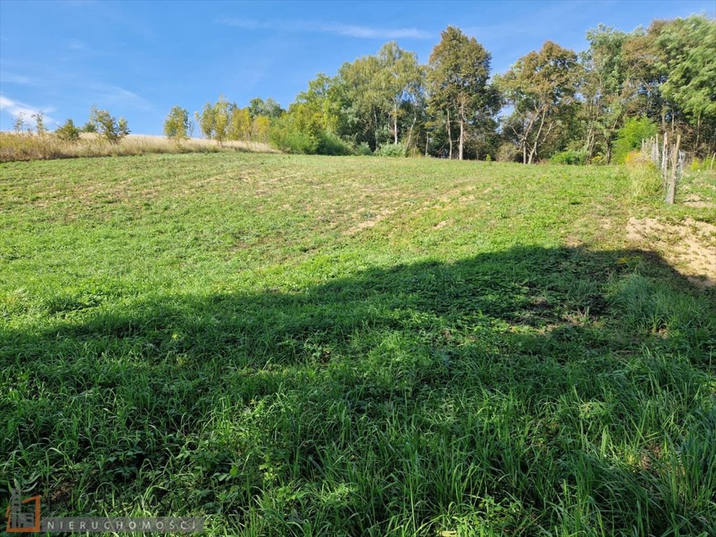 Działka inna na sprzedaż Biskupice  2 813m2 Foto 5