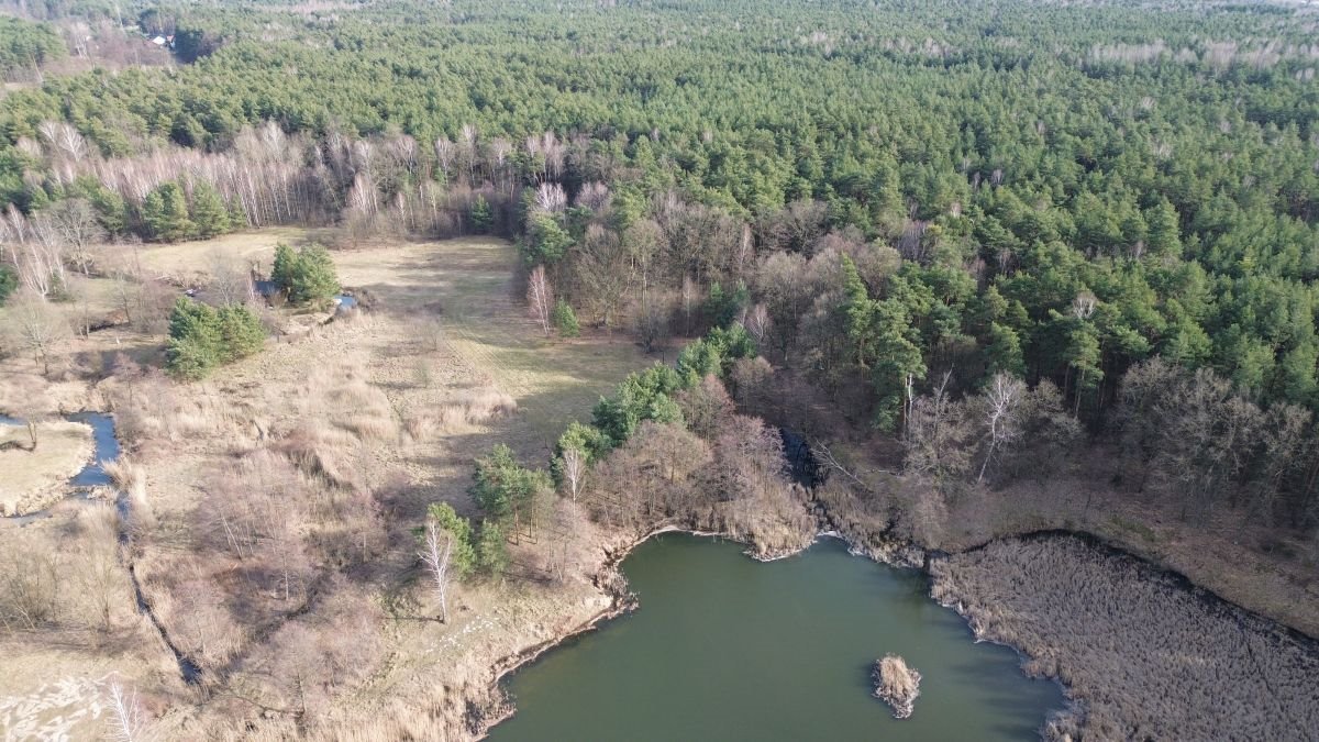 Lokal użytkowy na sprzedaż Tartak  52 600m2 Foto 41