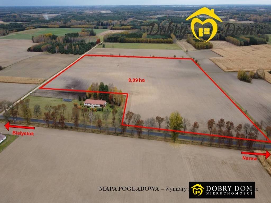 Do sprzedania działka 8,09 ha z MPZP i dostępem do asfaltu Ancuty  80 900m2 Foto 1
