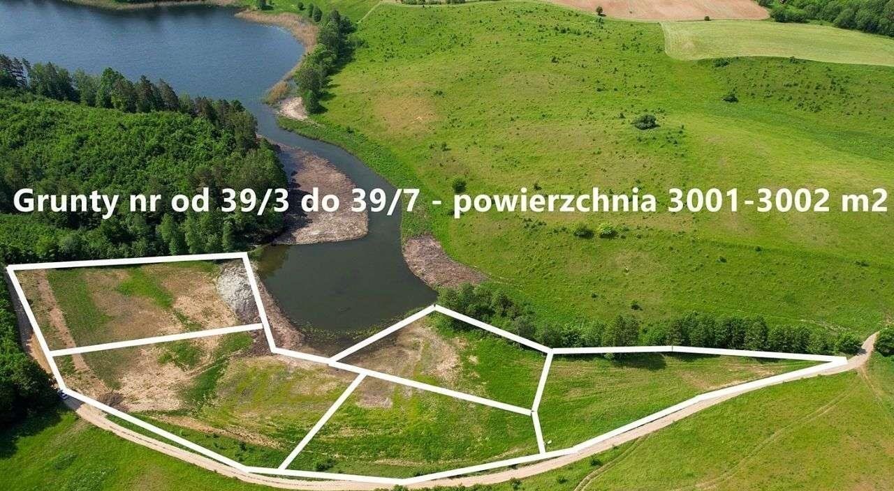 Działka rolna na sprzedaż Rogale  3 002m2 Foto 3