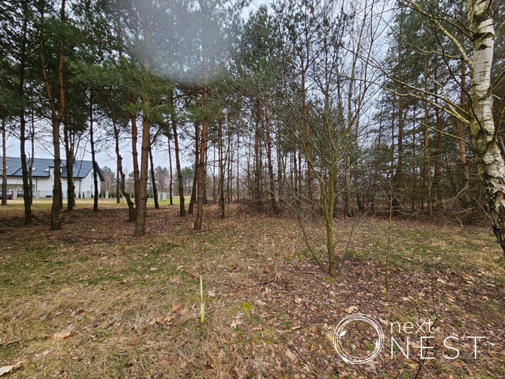 Działka budowlana na sprzedaż Zalesie, Nowiny  1 300m2 Foto 10