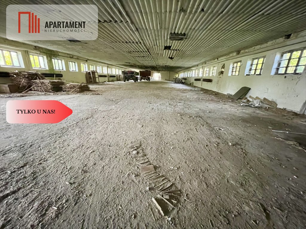 Lokal użytkowy na sprzedaż Dobino  1 582m2 Foto 15