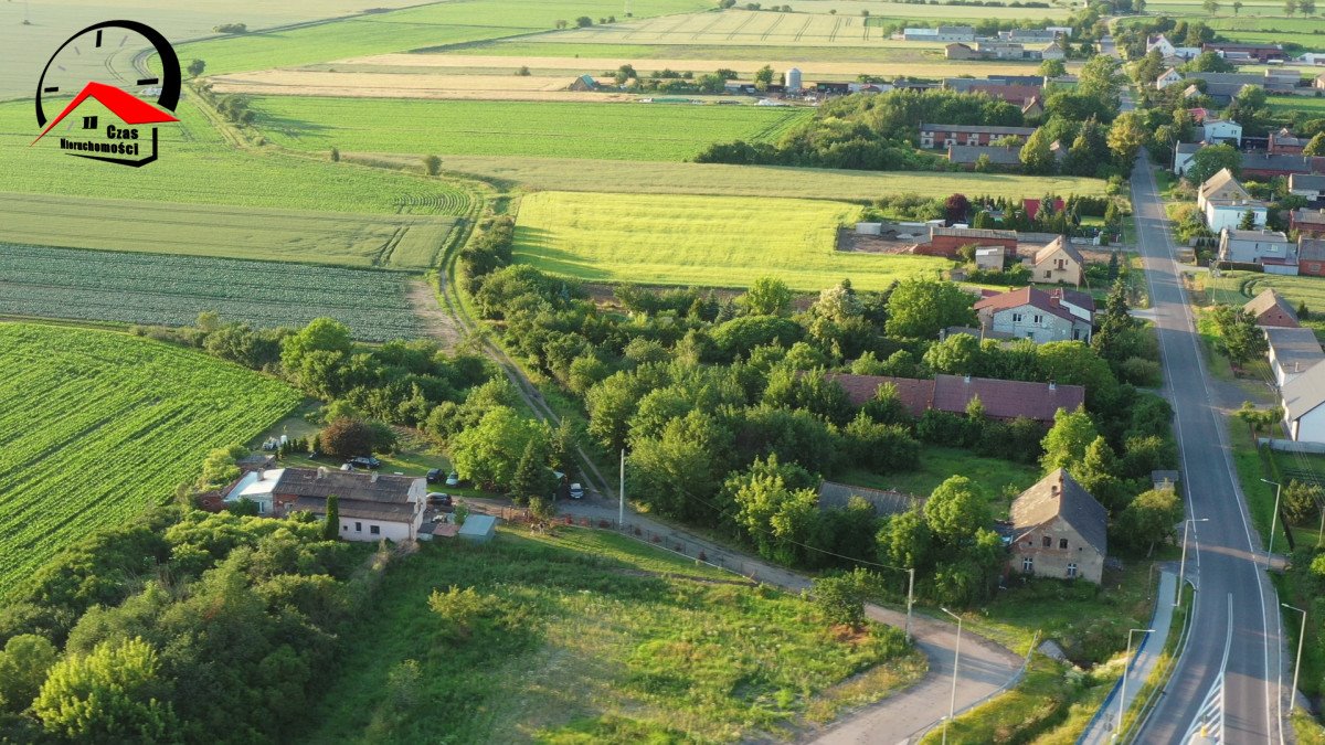 Działka budowlana na sprzedaż Stodólno  7 500m2 Foto 11