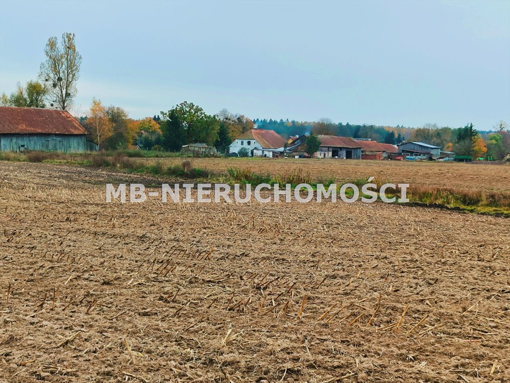 Działka rolna na sprzedaż Mingajny  2 937m2 Foto 1