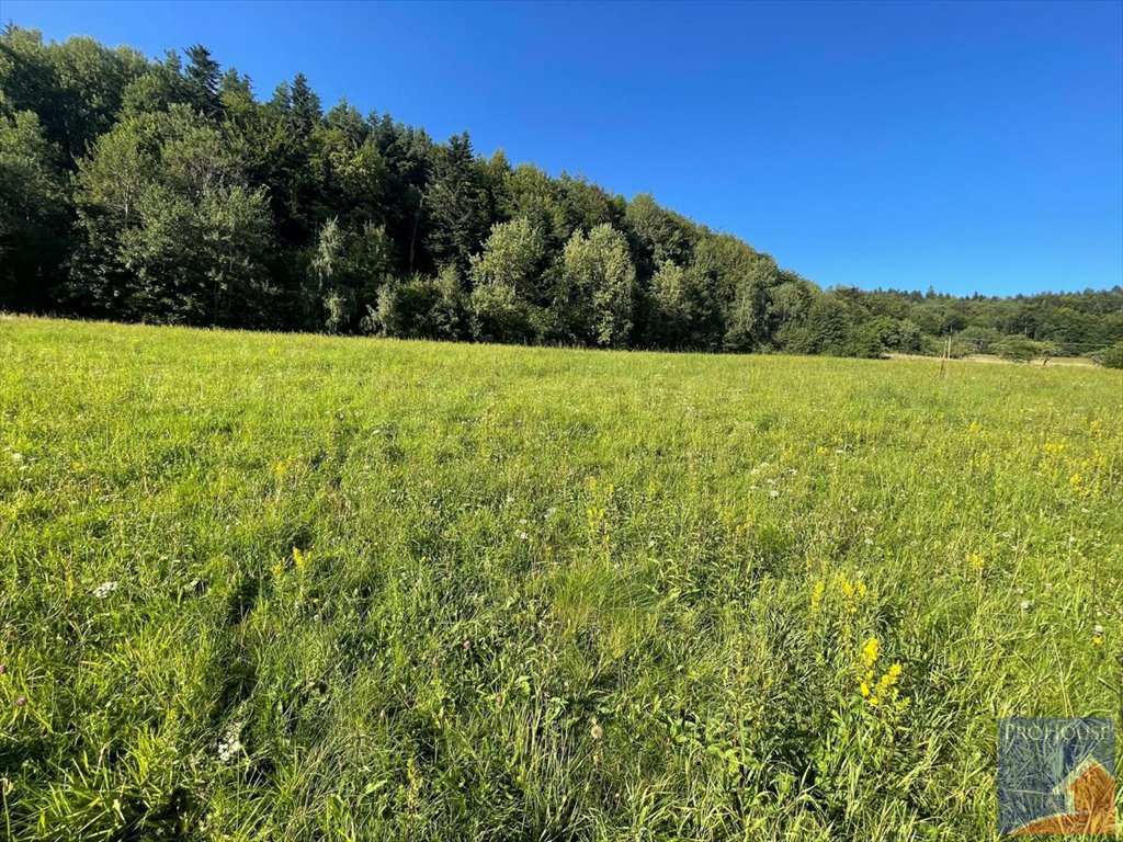 Działka budowlana na sprzedaż Kłodne  5 200m2 Foto 13