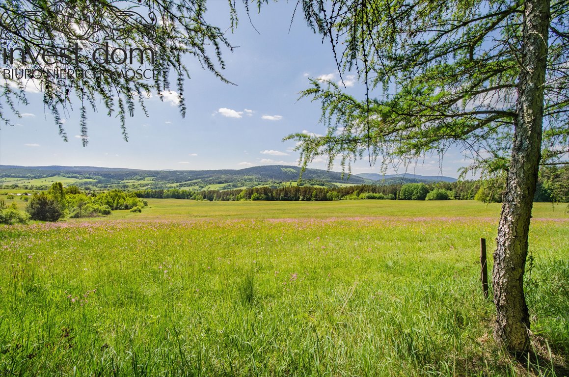 Działka leśna na sprzedaż Brunary  30 301m2 Foto 3