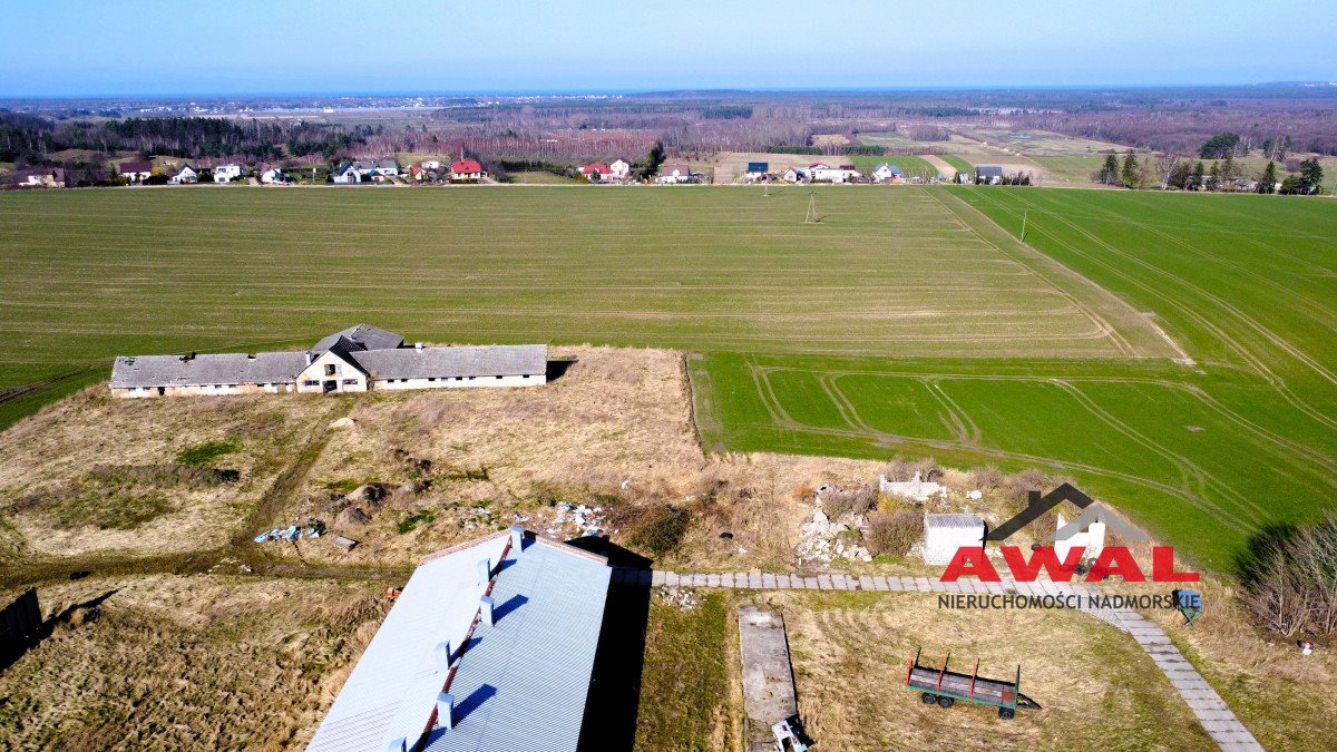 Działka gospodarstwo rolne na sprzedaż Sulicice  3 000m2 Foto 15