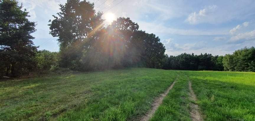 Działka budowlana na sprzedaż Korfowe  7 000m2 Foto 9