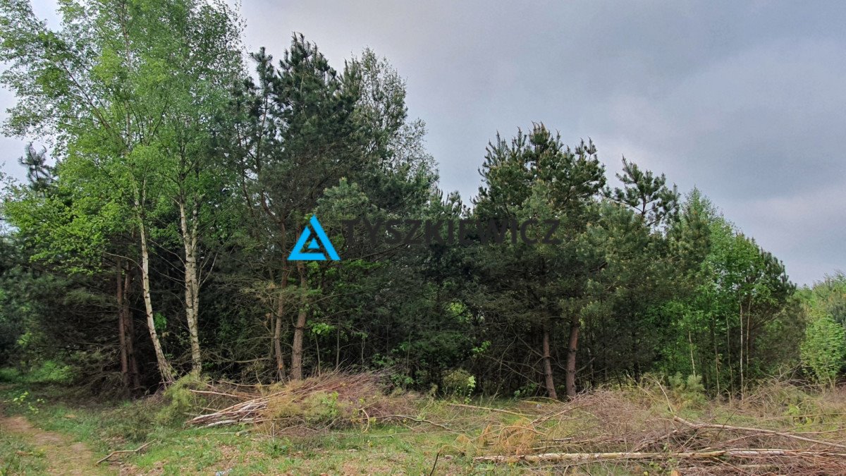 Działka budowlana na sprzedaż Gdańsk, Kokoszki, Sianowska  1 395m2 Foto 1