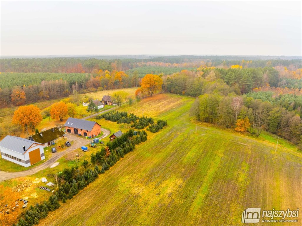 Działka budowlana na sprzedaż Węgorza, Wieś  1 500m2 Foto 10