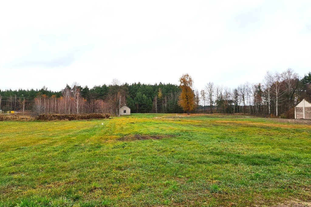 Działka budowlana na sprzedaż Łosiewice  8 500m2 Foto 2