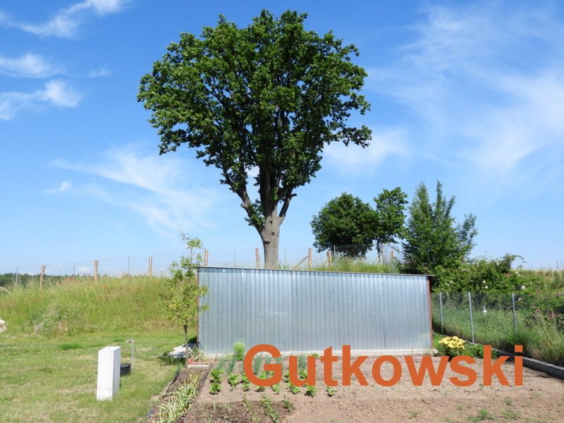 Działka siedliskowa na sprzedaż Nejdyki, gmina Iława, Nejdyki  3 006m2 Foto 8