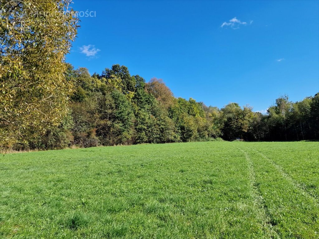 Działka rolna na sprzedaż Strzeszyn  3 900m2 Foto 9