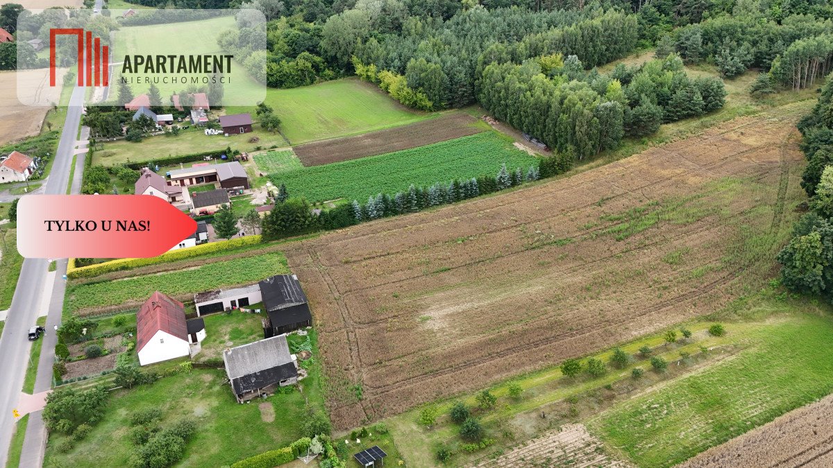 Działka budowlana 11 369 m² z mediami i lasem w Grucznie Gruczno  11 369m2 Foto 1