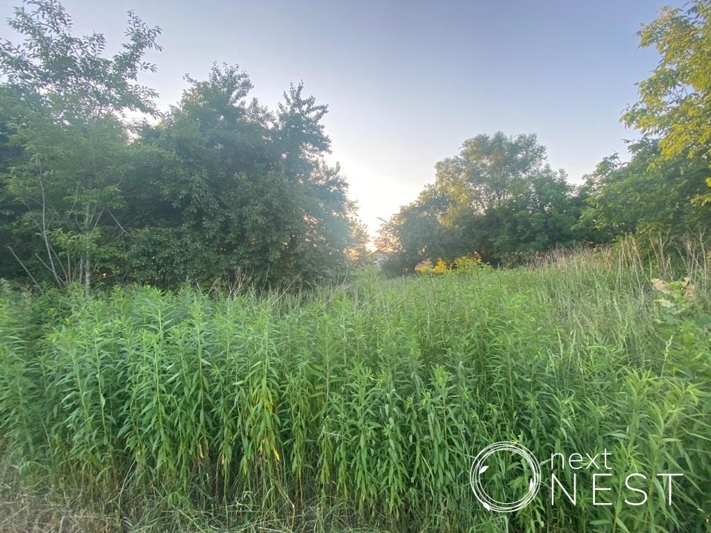 Działka budowlana na sprzedaż Konstancin-Jeziorna, Wierzbnowska  3 992m2 Foto 8