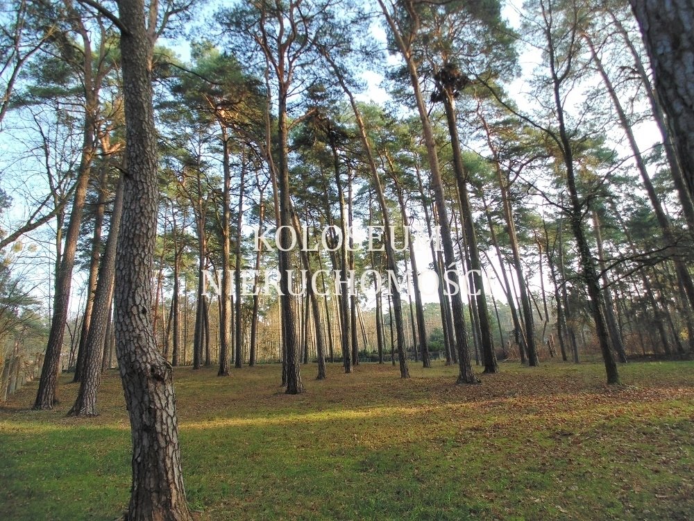 Działka budowlana na sprzedaż Konstancin-Jeziorna, Królewska Góra  3 180m2 Foto 3