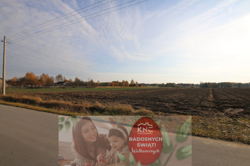 Działka 65 ar z możliwością budowy i rolnictwa, pierwsza linia Sobolew-Kolonia  6 558m2 Foto 1