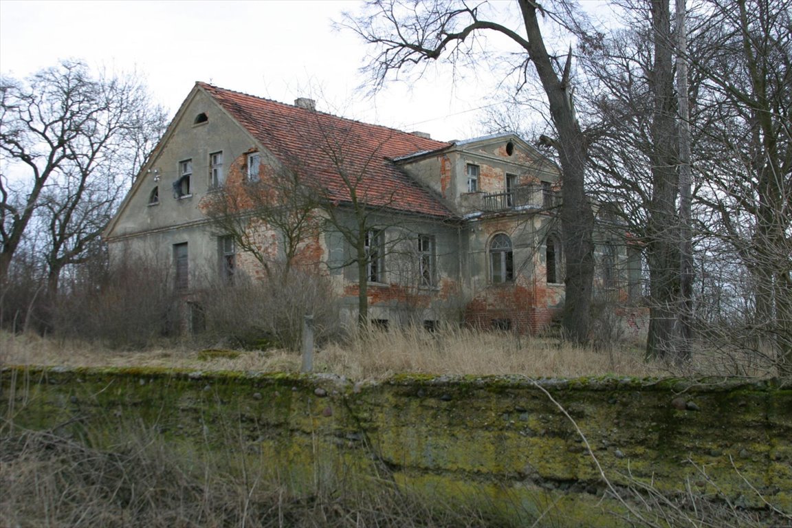 Lokal użytkowy na sprzedaż Wińsko  470 000m2 Foto 2