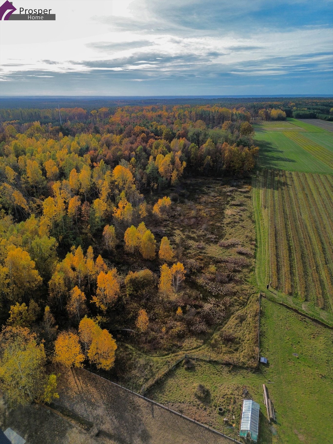 Działka 1598 m² z mediami, las, spokój - polecam! Brzyska Wola  1 598m2 Foto 1