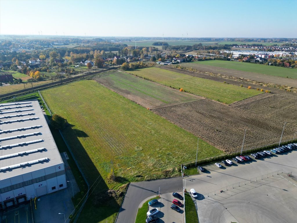 Działka budowlana na sprzedaż Kobylnica  18 600m2 Foto 3