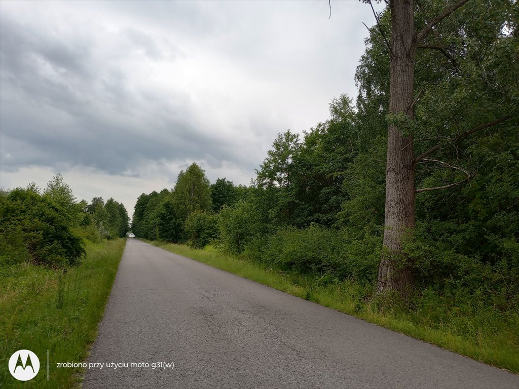 Działka budowlana na sprzedaż Dębe Wielkie  800m2 Foto 4