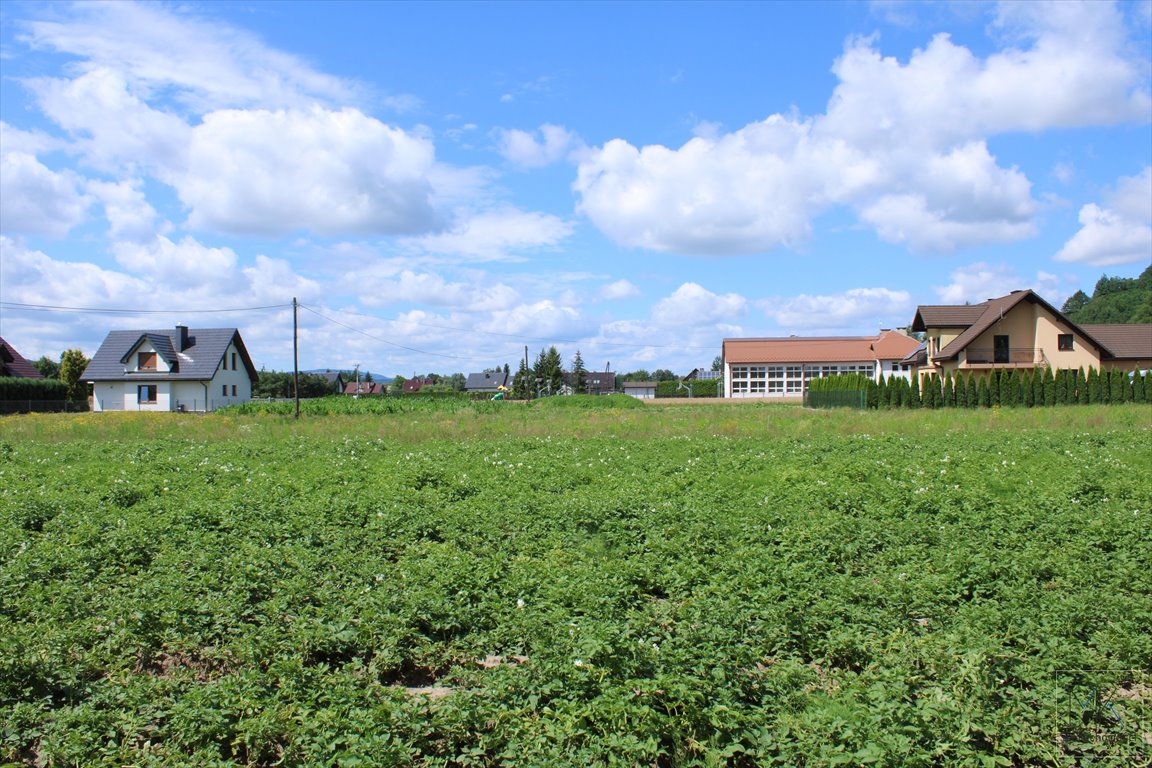 Działka budowlana na sprzedaż Winiary  10 200m2 Foto 8