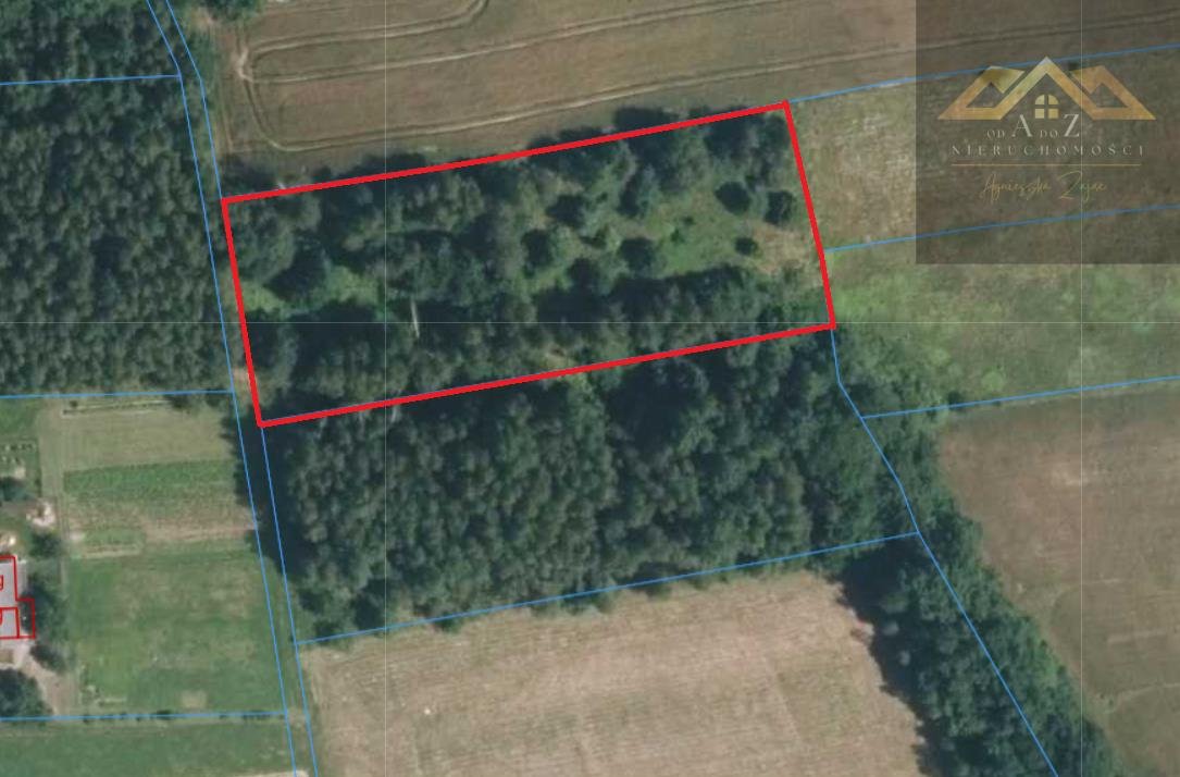 Działka budowlana na sprzedaż Olszowa  4 900m2 Foto 1