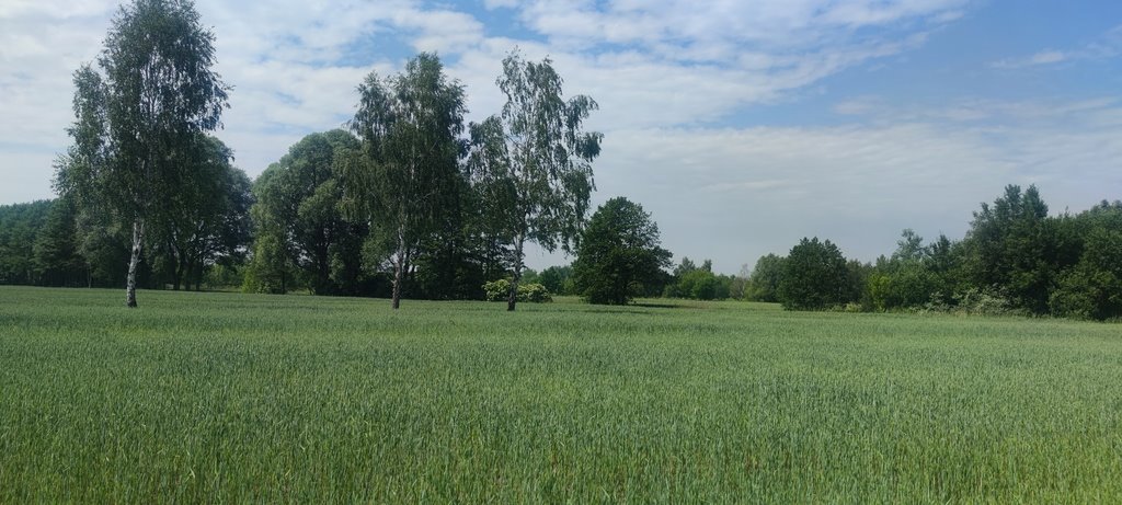 Działka budowlana na sprzedaż Borzęcin Mały  1 000m2 Foto 1