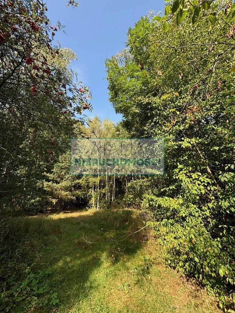 Do sprzedania działka 27 056 m² z budynkami i dostępem do drogi Wiskitki  27 056m2 Foto 1