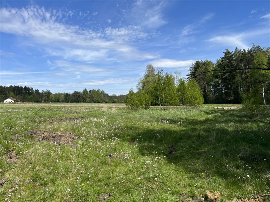 Działka gospodarstwo rolne na sprzedaż Zajezierce  7 153m2 Foto 2