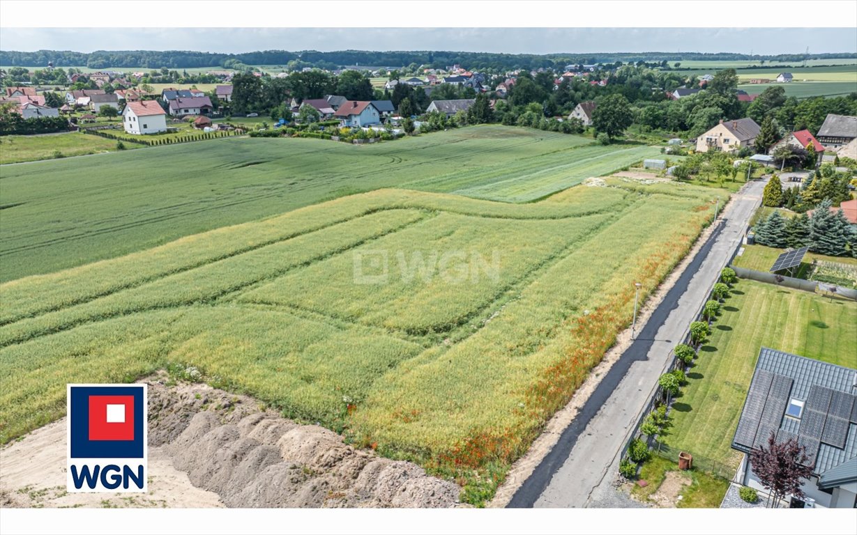 Działka budowlana na sprzedaż Warta Bolesławiecka, Centrum  1 500m2 Foto 8