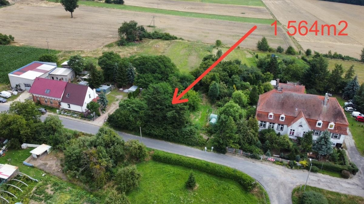Działka budowlana na sprzedaż Góry  1 564m2 Foto 1