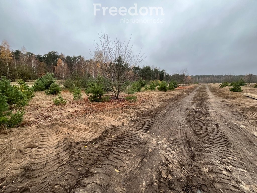 Działka budowlana na sprzedaż Czarne Błoto  1 000m2 Foto 2