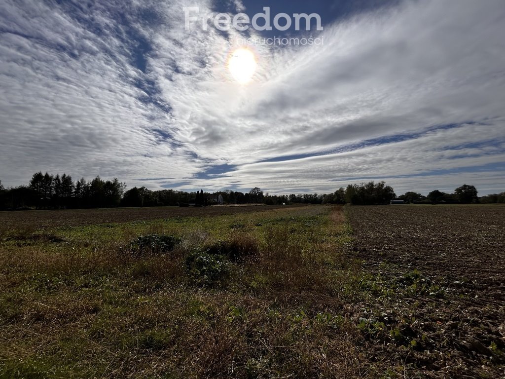 Działka rolna na sprzedaż Dwory Drugie  1 905m2 Foto 4