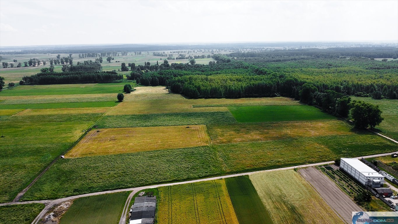 Działka budowlana na sprzedaż Wielichowo  656m2 Foto 7