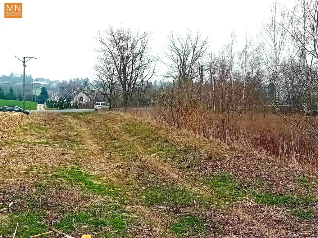Zdjęcie 6