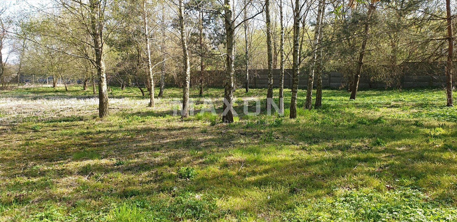 Działka budowlana na sprzedaż Borzęcin Duży  20 000m2 Foto 10