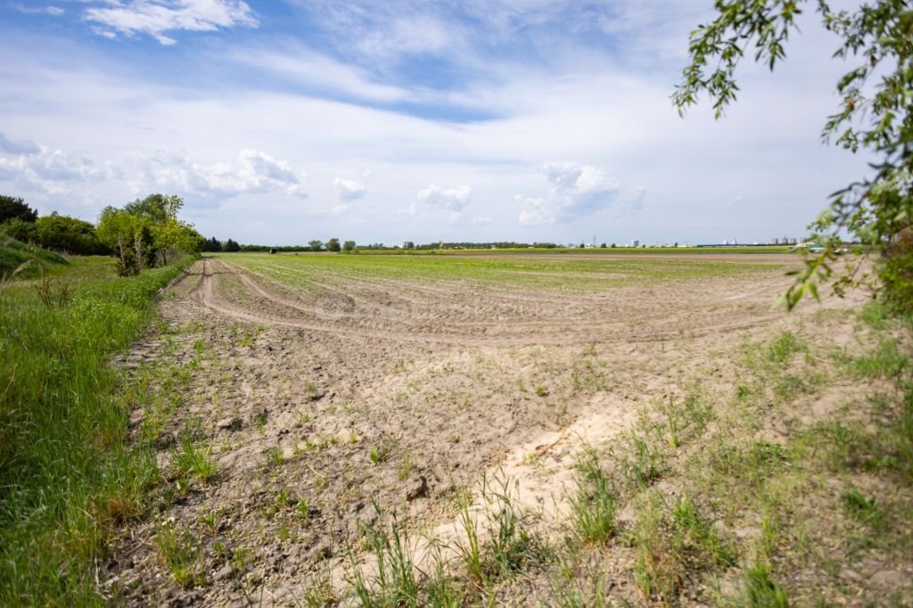 Do sprzedania działka budowlana 6220 m² z mediami w Poznaniu Poznań, Pokrzywno  1 429m2 Foto 1