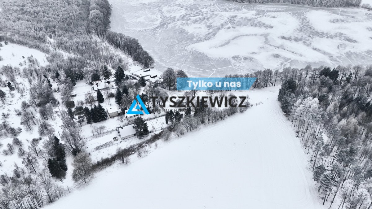 Działka 1,99 ha pod dom i rekreację, las i jezioro Trzepowo, Witosławy  19 988m2 Foto 1