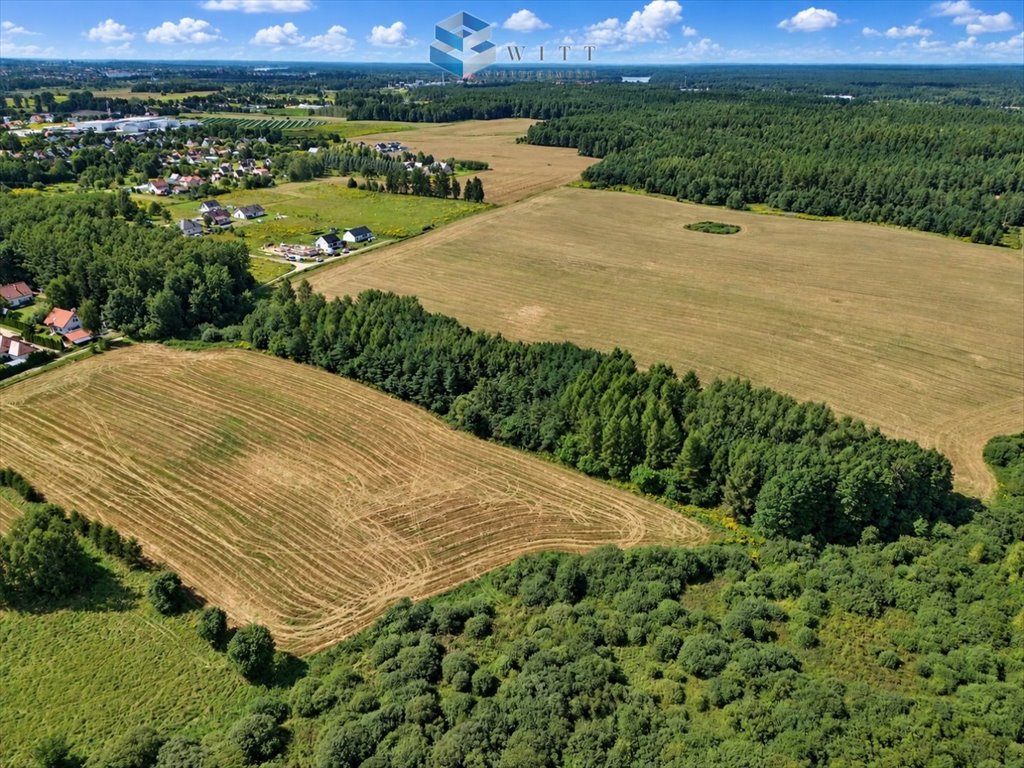 Działka 3124 m² pod 1-3 domy w Zwierzewie (blisko jeziora): Zwierzewo
