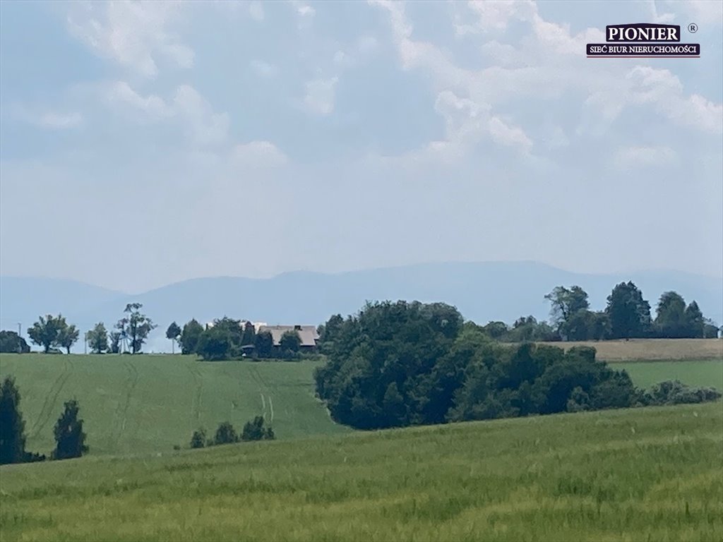 Działka rolna na sprzedaż Zamarski  70 000m2 Foto 7